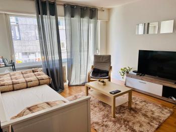 appartment avec balcon strasbourg centre, Strasburgo (foto 2)