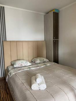 ApartLux on Pobedy Avenue, Усть-Каменогорск (фото 5)
