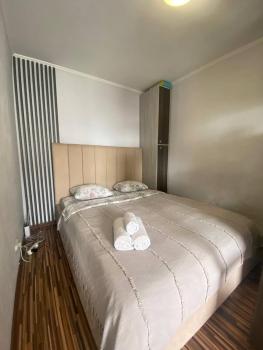 ApartLux on Pobedy Avenue, Усть-Каменогорск (фото 2)
