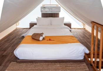 T-Rex Glamping, Dubai Parks and Resorts, Dubaï (photo 2)