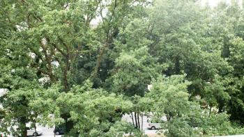 Work and Stay Apartment Balcony, Düsseldorf (photo 5)