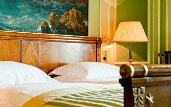 Grand Hotel LES TROIS ROIS, Basilea (foto 4)