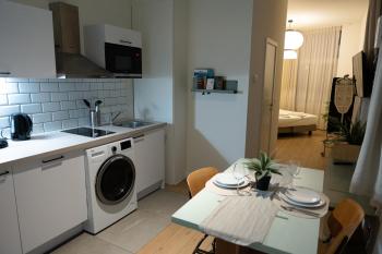 Studio 1 Cosy Avenue Louise, Брюссель (фото 2)