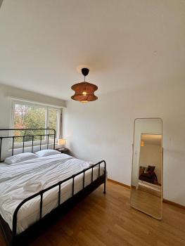 Simple and Comfortable 2BR Apartment in Zurich, Zúrich (foto 4)