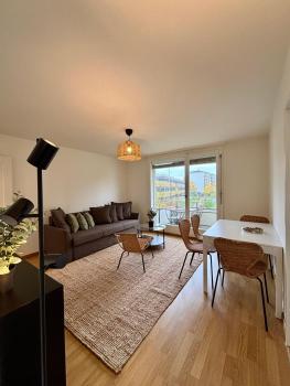 Simple and Comfortable 2BR Apartment in Zurich, Zúrich (foto 2)