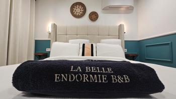 La Belle Endormie B&B French Guest house, Bordeaux (Foto 4)