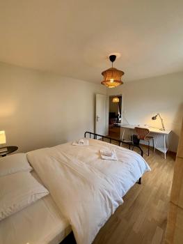 Basic 3-BR Apartment with Balcony Access, Curych (fotografie 5)