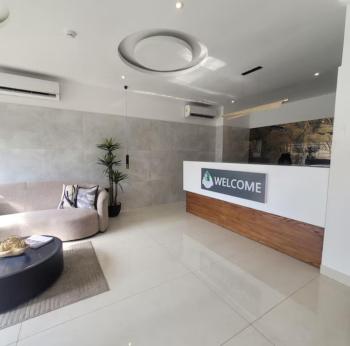 Tranquil Studio in Belrose Place, Accra, Accra (photo 5)