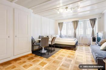 City Center Apt With AC in Zurich Old Town, Zúrich (foto 2)