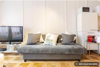 City Center Apt With AC in Zurich Old Town, Zúrich (foto 5)
