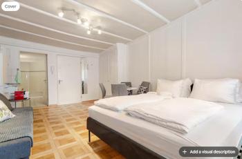 City Center Apt With AC in Zurich Old Town, Zúrich (foto 3)