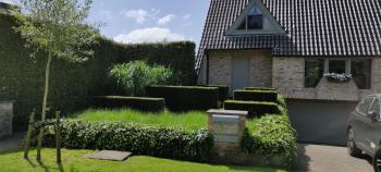 B&B 7T, Brujas (foto 2)