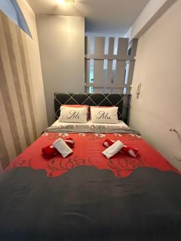 Apartman Aleksa, Skopje (photo 5)
