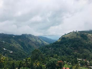 Ella HIDE VIEW, Ella (Foto 4)