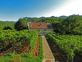 Estate & Winery San Duyevo, Rijeka Crnojevića (fotografie 5)