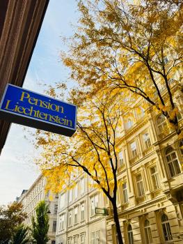 Pension Liechtenstein, Vienne (photo 3)