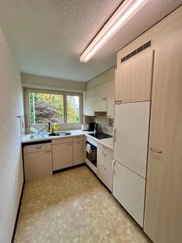 3 Bedroom Apartment with Balcony, 26 min to Zurich Center, Curych (fotografie 3)