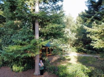 Forest Cabin in the woods, Holten (fotografie 3)