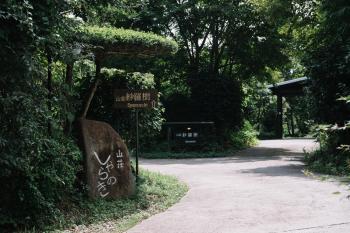 山荘 紗羅樹 Syaranoki, Yufu (foto 2)