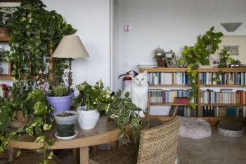 Large Room e Small Private Bathroom Between Mondello Beach and Old Town! Free Park!, Palermo (fotografie 4)