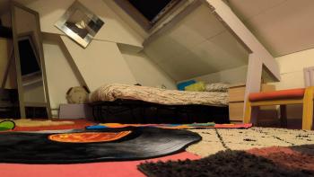 2,5 Km from Central Station, Amsterdam (foto 4)
