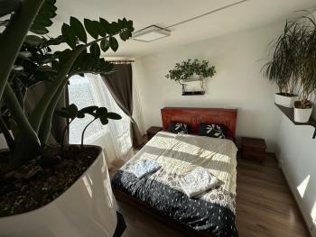 Jungle style 2 lockable bedrooms, 10 mins to center, top floor balcony with Prague view, king-size bed, high speed Internet, coffee, Prague (photo 2)