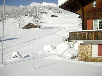 Chalet Mislin, Grindelwald Direkte Bergsicht, Grindelwald (photo 3)