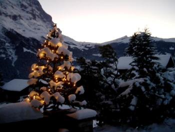 Chalet Mislin, Grindelwald Direkte Bergsicht, Grindelwald (photo 4)