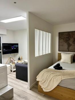 Appartement avec jacuzzi proche du centre, Strasbourg (photo 2)