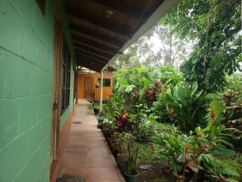 Arenal Hostel La Catarata, Fortuna (photo 5)
