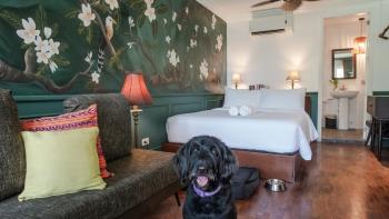 MiraNamin Nest CALACHUCHI - Cozy Room in Historic Home - Indoor Plunge Pool, Petite Desk, Garden View with Balcony, Self-Service Breakfast, Guest Kitchen, Rooftop, Pet-Friendly, Manila (Foto 2)