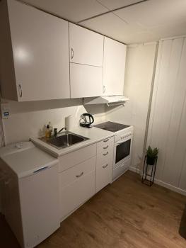 Hel leilighet i Bekkelag, 5 minutter til sentrum, Oslo (photo 3)