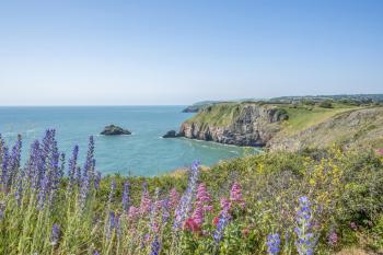 Lodge 62 at Riviera Bay Coastal Retreat, Brixham (foto 5)