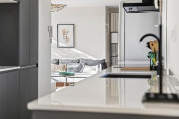 T3 - Luxurious and modern with 2 terraces, Toulouse (fotografie 3)