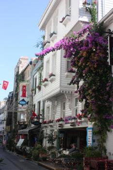 Romantic Mansion, Istanbul (fotografie 2)