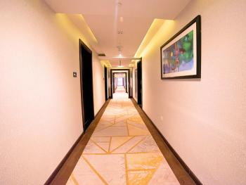 Asma Hotel Al Barsha, Dubaj (fotografie 3)