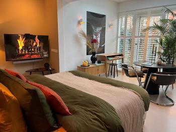 B&B Urban Oasis with Free Parking, Amsterdam (photo 5)