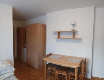Cyklami, Pobierowo (fotografie 4)