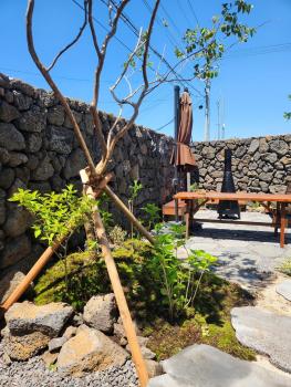 Tov & Kara, Jeju-do (Foto 3)