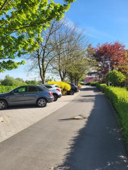 06 Grashüpfer - Hof Wiesengrund, Parchtitz (photo 3)
