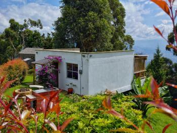 Green mount, Medellín (zdjęcie 2)