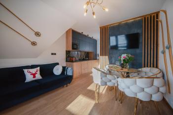 Willa Zielone Wzgórze - Zakopane - Luksusowe apartamenty, Zakopane (photo 3)