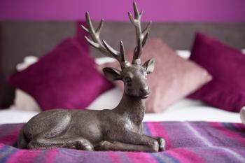 The Spires Serviced Apartments Edinburgh, Edimburgo (foto 4)