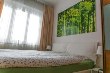 Tomas's apartment, Ljubljana (Foto 5)