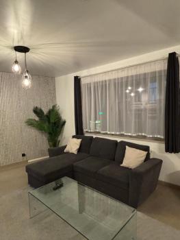 Stylish, modern & spacious apartment in Brussels, Bruselas (foto 3)