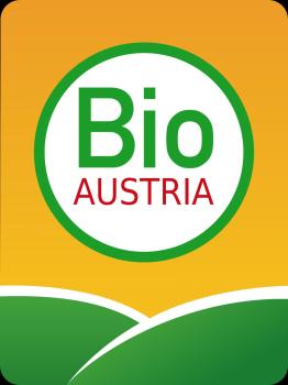 Das Grüne Hotel zur Post - 100 % BIO, Salzburgo (foto 5)