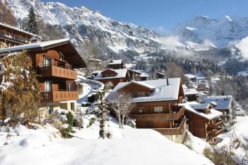 Chalet Gerbera, Wengen (foto 4)