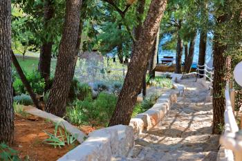 Candela, No 1, Starigrad-Paklenica (Ortopula) (foto 5)