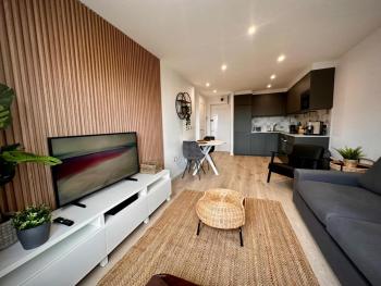 Newly Renovated Christchurch 1BD Roof Garden, Dublin (fotografie 3)