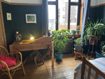 Large cosy room in G3, Glasgow (fotografie 3)
